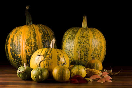 Fall leaves, corn and pumpkins in black, autumn background 
