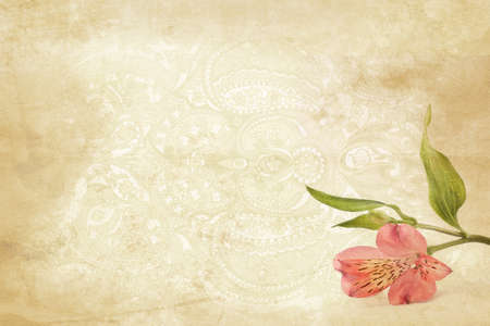 paper texture with floral elements の写真素材