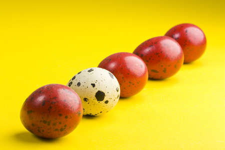 Colorful eggs with one different on yellow background with shadow 