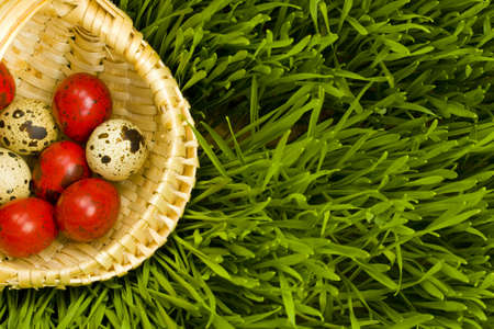 Easter eggs in basket on grassの写真素材