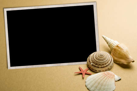 Vacation memories from beach, seashell and starfish, with blank photo frameの写真素材