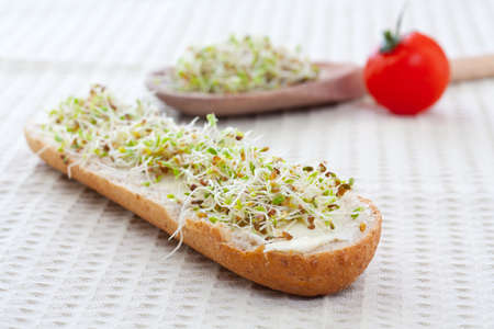 sprout germ breakfast in white backgroundの写真素材