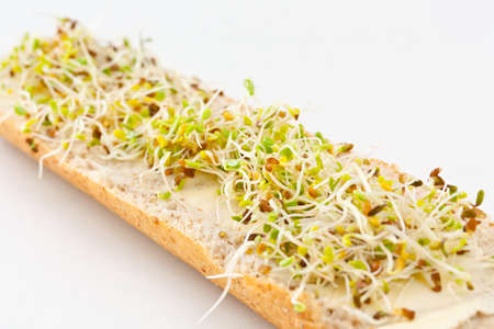 Healthy breakfast with cream cheese and mustard sprouts の写真素材