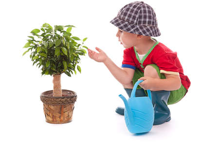 Little gardener boy on whiteの写真素材