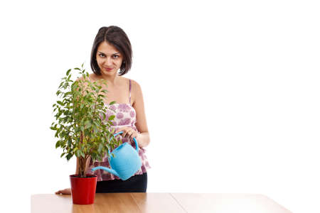Young woman watering ficus benjamina, using sprinkling canの写真素材