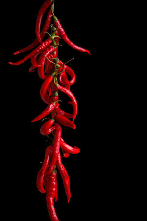 Red chili peppers on black background