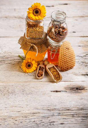 Forms of honey: honey,honeycomb, pollen, propolisの写真素材