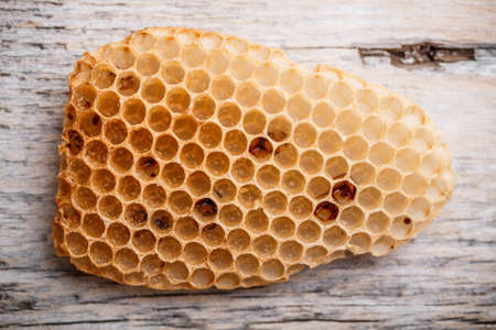 Empty honeycomb on rustic wooden backgroundの写真素材