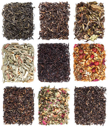 Tea leaves collection on white backgroundの写真素材