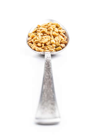 Spoon with fenugreek on white background の写真素材