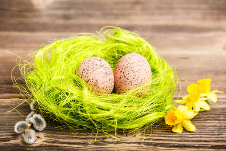 Easter egg on green nest