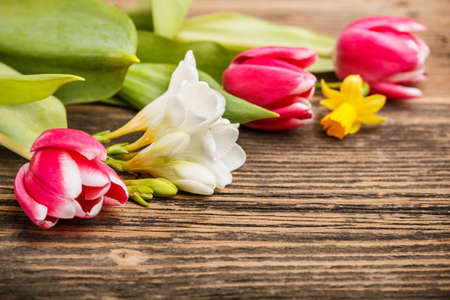 First spring flowers on wooden background の写真素材