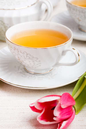 Red tulip and cup of teaの写真素材