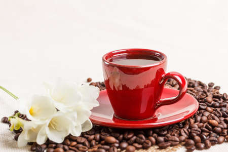 Coffee cup and coffee beansの写真素材