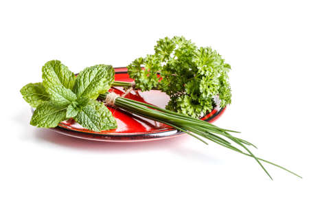 Fresh green herbs in red plateの写真素材