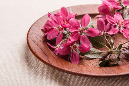 Pink branch on wooden plateの写真素材