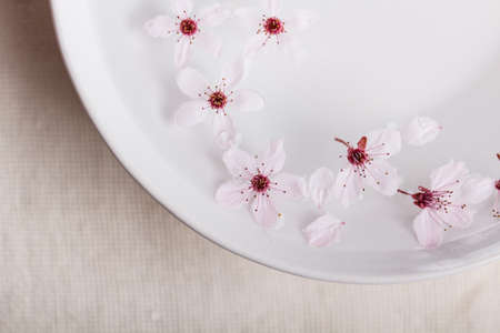 Blossom flowers in white bowl 