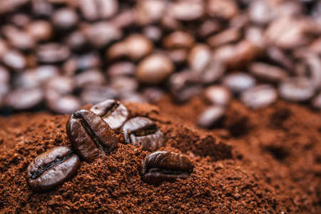 Coffee bean in coffee powder close up の写真素材