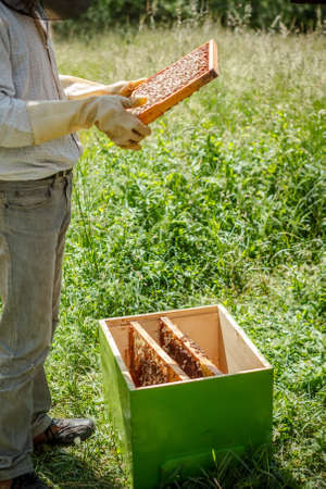 Working apiarist in a spring seasonの写真素材
