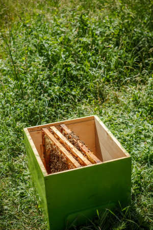 Wooden beehive on meadow, outdoor shotの写真素材