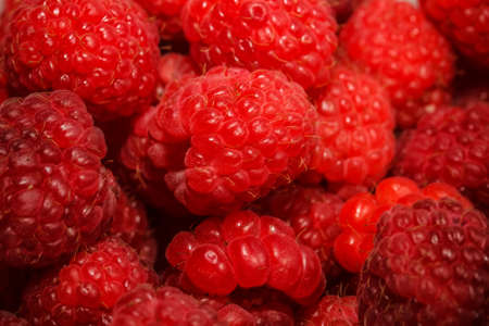 Raspberry fruit background, close up shot
