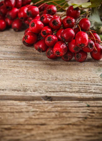 Hawthorn berries on wooden boardの写真素材