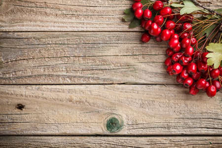 Hawthorn berries on wooden boardの写真素材