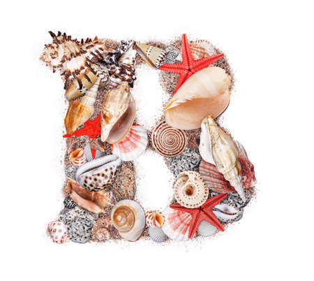 Letter B made of seashell isolated on white backgroundの写真素材