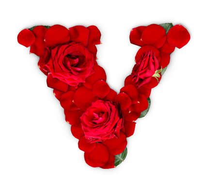 Letter V made from red roses and petals isolated on a white background Letter V made from red roses and petals isolated on a white background