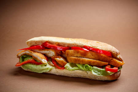 Chicken schnitzel sandwich with paprika and lettuce の写真素材