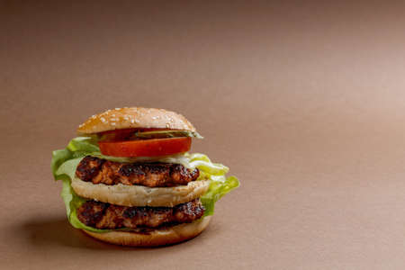 Big hamburger with space for your textの写真素材