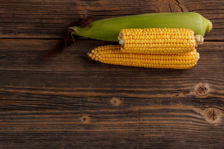 Fresh corn cobs with space for your textの写真素材