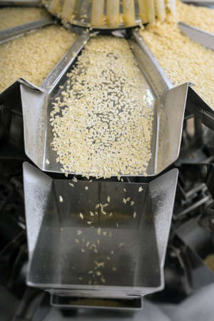 Pasta production line, pasta manufacturingの写真素材