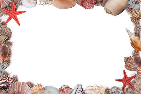 Frame of seashells on white backgroundの写真素材