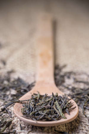 Spoon of dried green tea leaves on burlap backgroundの写真素材