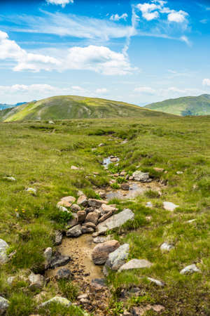 Water stream in mountains with flowers and stones landscape