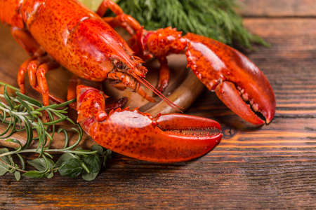 Boiled lobster on wooden backgroundの写真素材