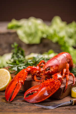 Red whole lobster with big clawsの写真素材