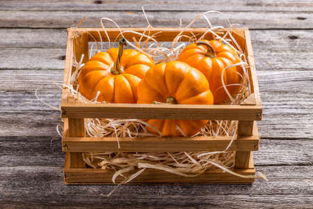 Mini decorative pumpkins in crateの写真素材