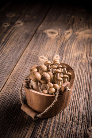 Fresh brown shimeji mushrooms in wooden bowlの写真素材