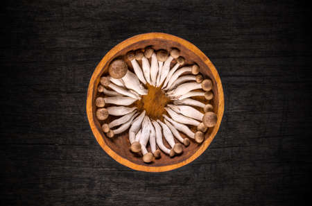 A bowl of fresh brown shimeji mushrooms