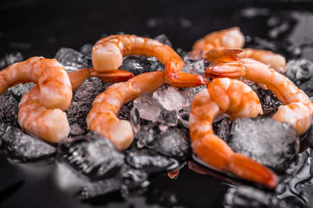 Seafood concepts: shrimps on iceの写真素材