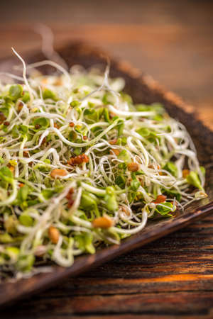 Fresh sprouts in bamboo plateの写真素材