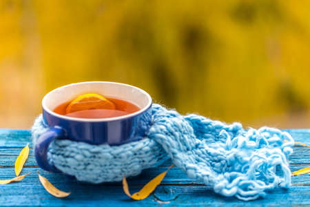 Healing cup of tea in a scarf on blue wooden backgroundの写真素材