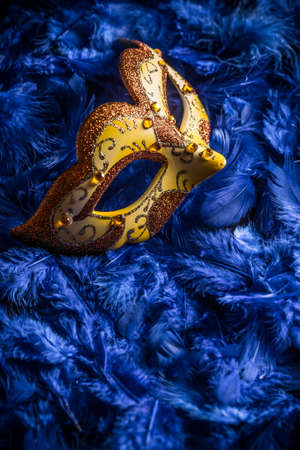 Carnival mask on blue feather backgroundの写真素材
