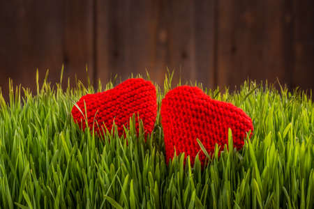 Two knitted hearts in green grass, love conceptの写真素材
