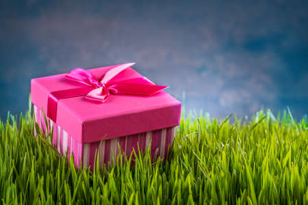 Gift box on the green grassの写真素材