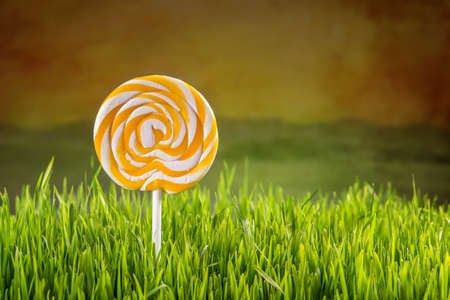 Spiral lollipop in green grassの写真素材