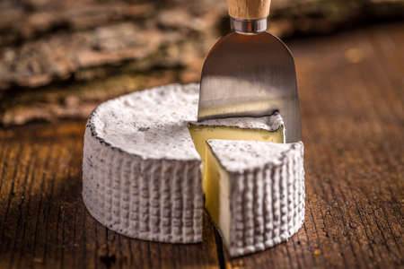 Camembert cheese with knife on wooden background