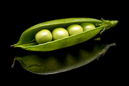 Opened green pea pods on black background, clipping pathの写真素材